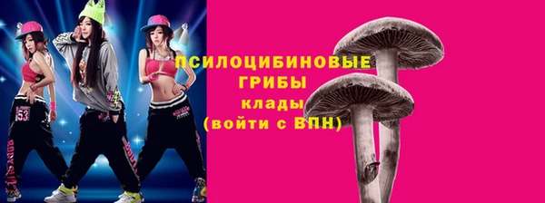 дурь Арсеньев