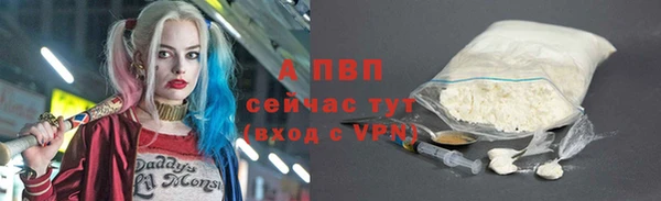 гашик Баксан