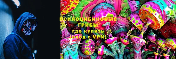 a pvp Аркадак